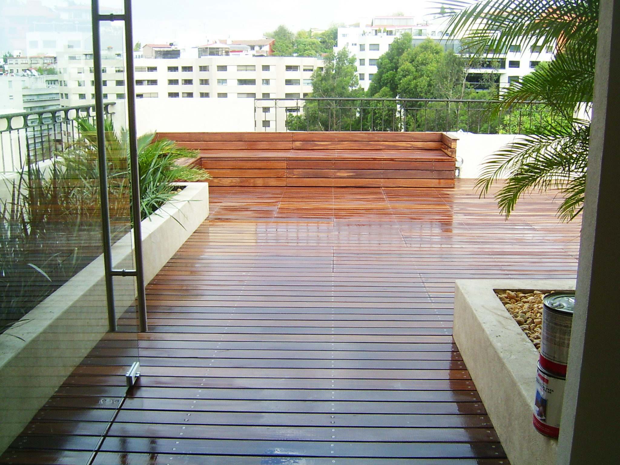 Imagen 5
