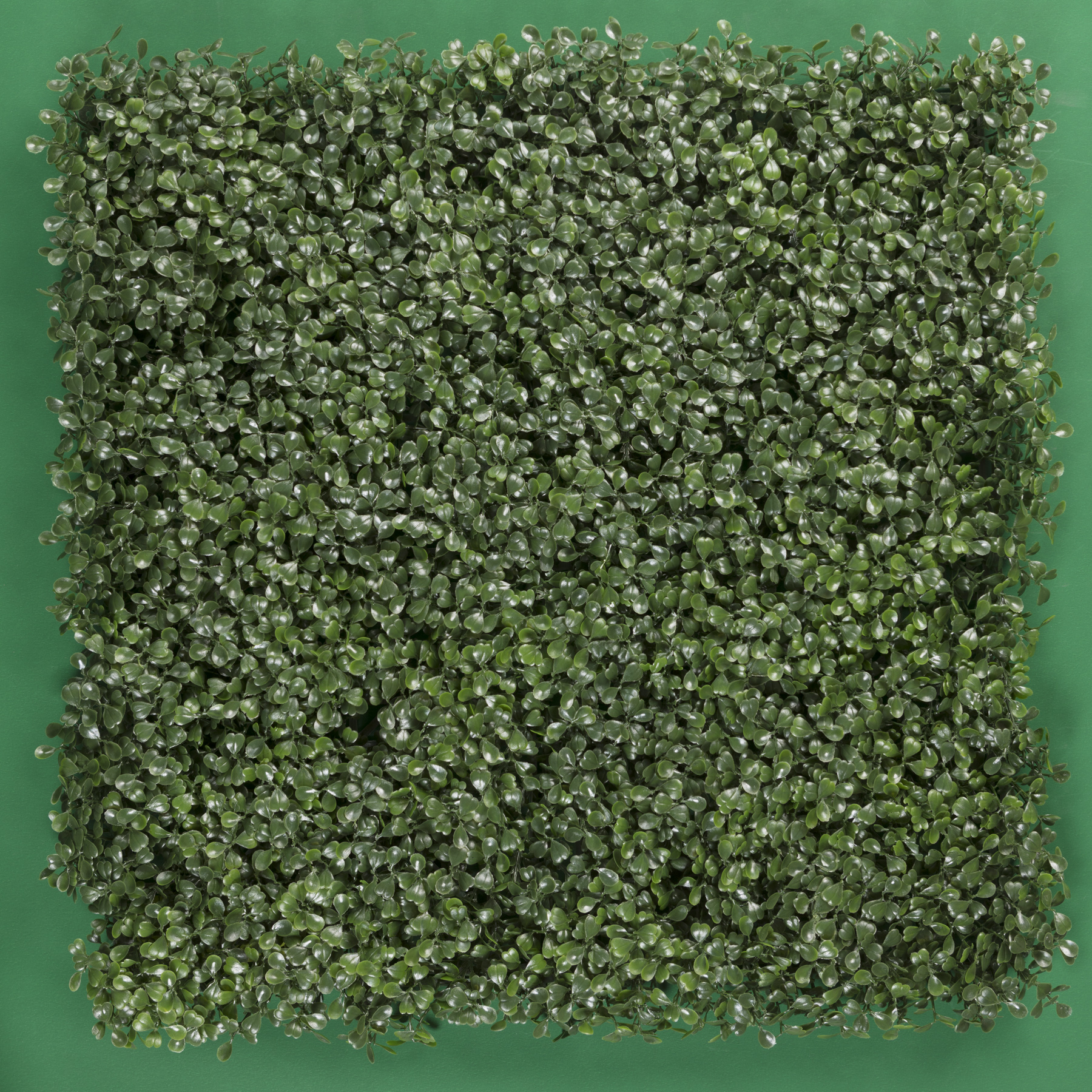 Arrayan Natural