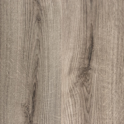 Oak Trend