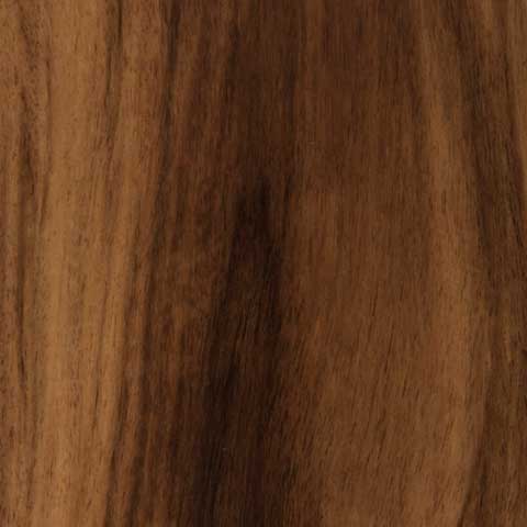 Acacia