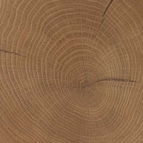 OAK FrescoOAK Fresco