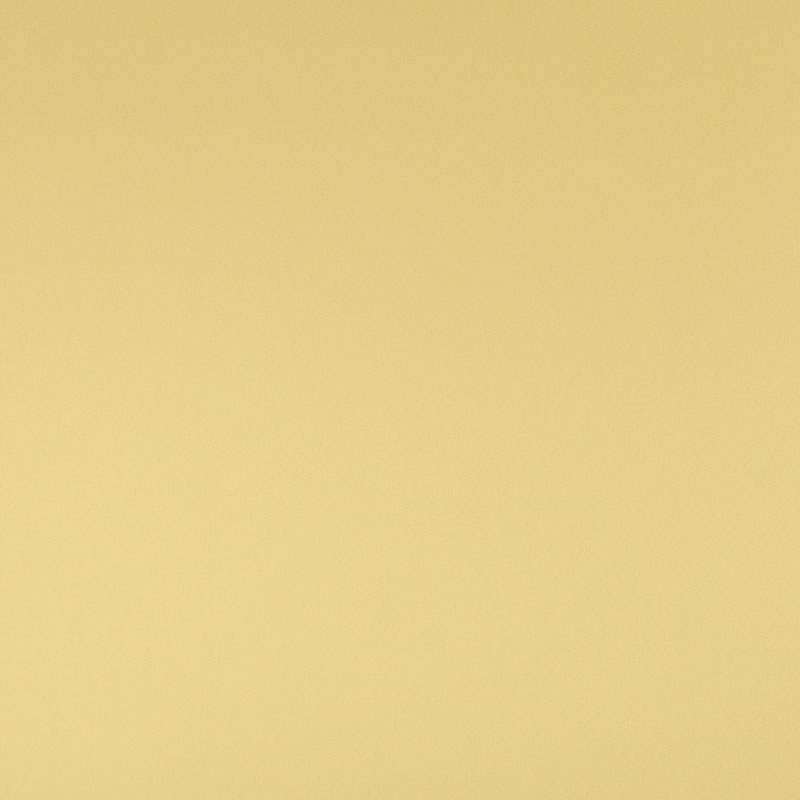 PLACA TIPO ESPEJO DORADO